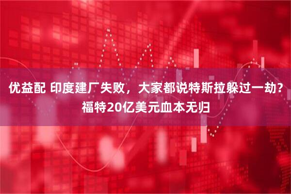 优益配 印度建厂失败，大家都说特斯拉躲过一劫？福特20亿美元血本无归